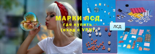 ГАЛЛЮЦИНОГЕННЫЕ ГРИБЫ Ладушкин