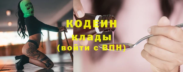 ГАЛЛЮЦИНОГЕННЫЕ ГРИБЫ Ладушкин