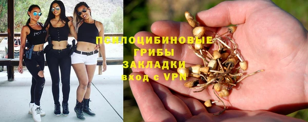 ГАЛЛЮЦИНОГЕННЫЕ ГРИБЫ Ладушкин